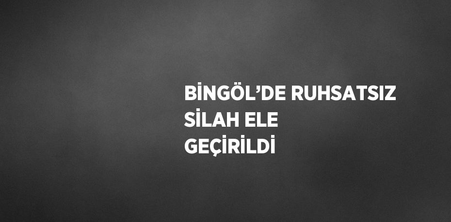BİNGÖL’DE RUHSATSIZ SİLAH ELE GEÇİRİLDİ