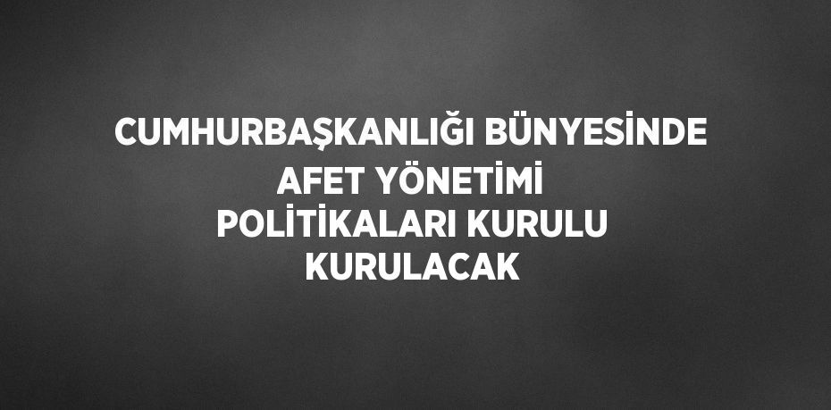 CUMHURBAŞKANLIĞI BÜNYESİNDE AFET YÖNETİMİ POLİTİKALARI KURULU KURULACAK