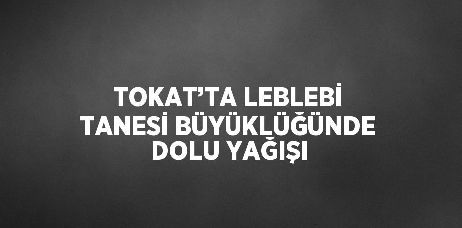TOKAT’TA LEBLEBİ TANESİ BÜYÜKLÜĞÜNDE DOLU YAĞIŞI