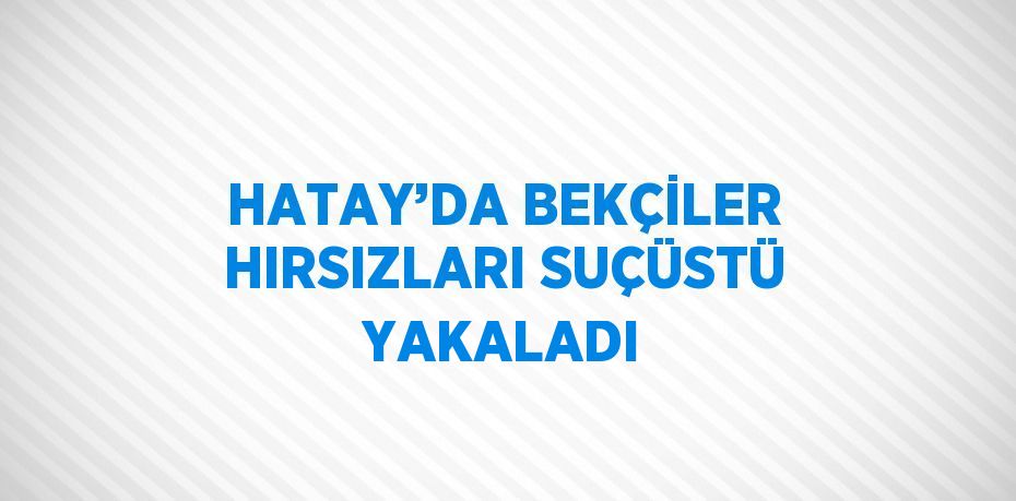 HATAY’DA BEKÇİLER HIRSIZLARI SUÇÜSTÜ YAKALADI