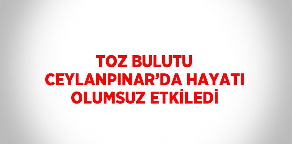 TOZ BULUTU CEYLANPINAR’DA HAYATI OLUMSUZ ETKİLEDİ