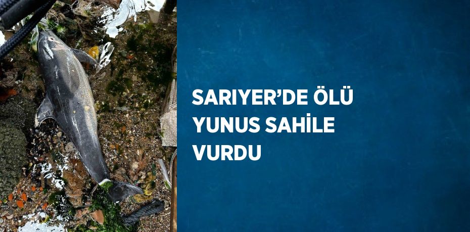 SARIYER’DE ÖLÜ YUNUS SAHİLE VURDU