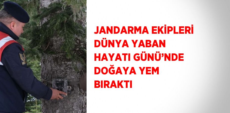 JANDARMA EKİPLERİ DÜNYA YABAN HAYATI GÜNÜ’NDE DOĞAYA YEM BIRAKTI