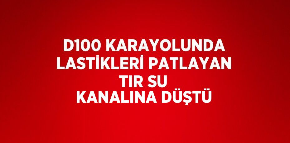 D100 KARAYOLUNDA LASTİKLERİ PATLAYAN TIR SU KANALINA DÜŞTÜ