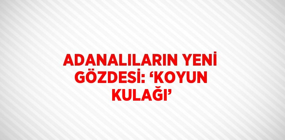 ADANALILARIN YENİ GÖZDESİ: ‘KOYUN KULAĞI’