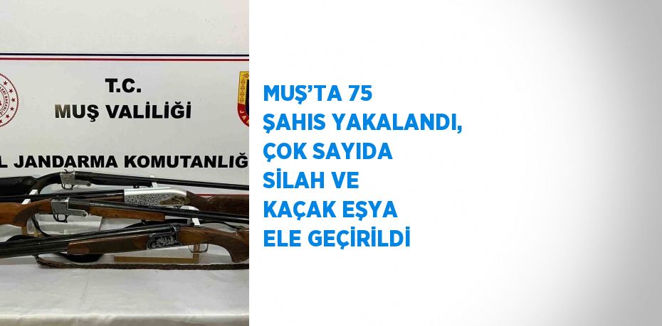 MUŞ’TA 75 ŞAHIS YAKALANDI, ÇOK SAYIDA SİLAH VE KAÇAK EŞYA ELE GEÇİRİLDİ