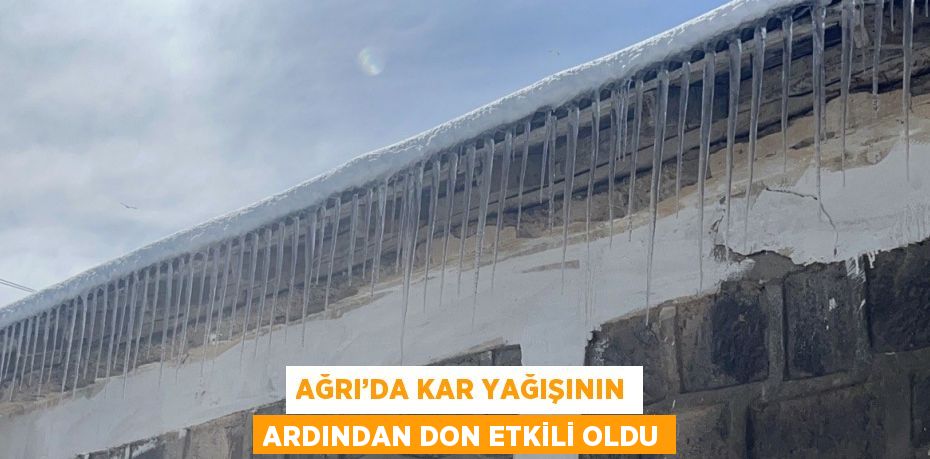 AĞRI’DA KAR YAĞIŞININ ARDINDAN DON ETKİLİ OLDU