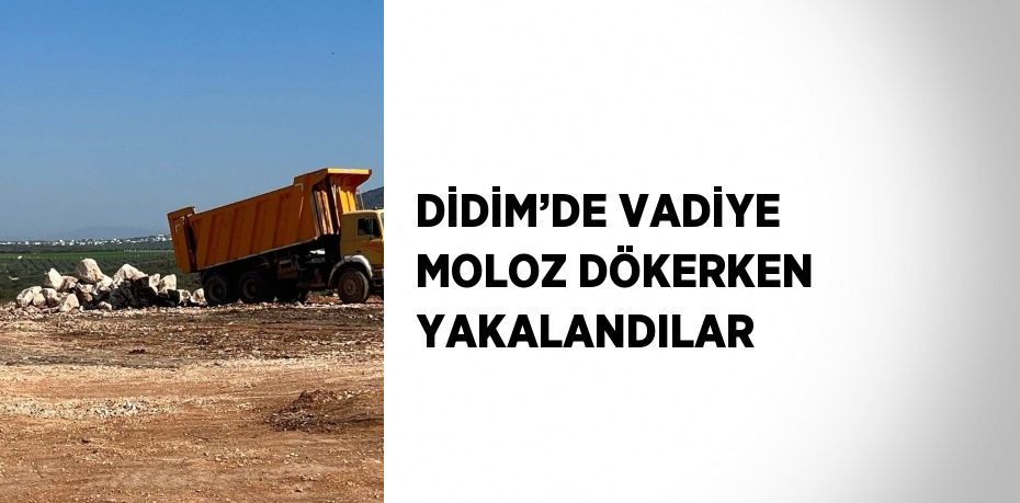 DİDİM’DE VADİYE MOLOZ DÖKERKEN YAKALANDILAR