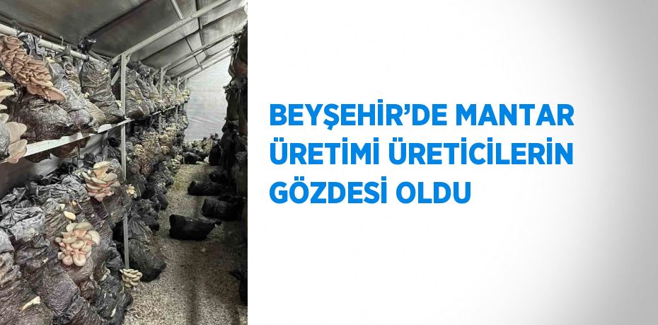 BEYŞEHİR’DE MANTAR ÜRETİMİ ÜRETİCİLERİN GÖZDESİ OLDU