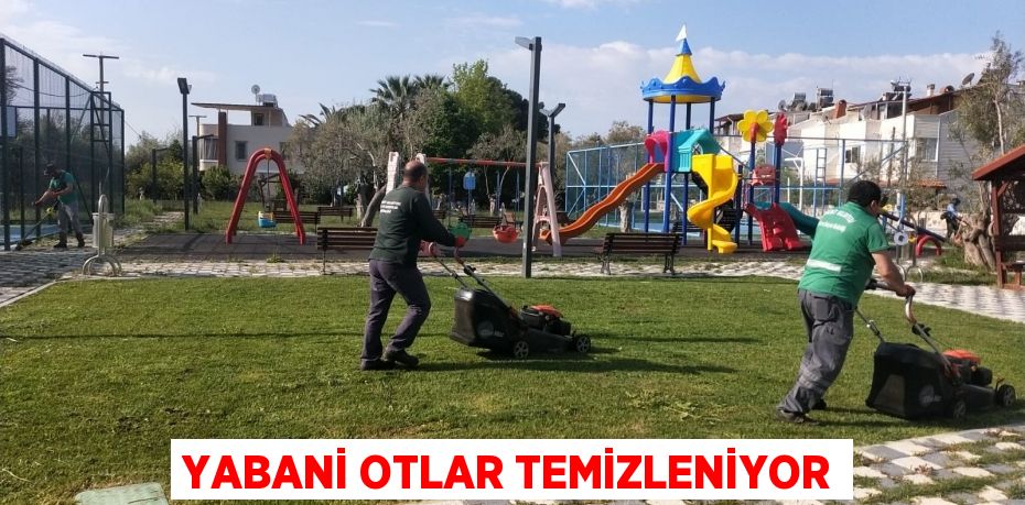 YABANİ OTLAR TEMİZLENİYOR