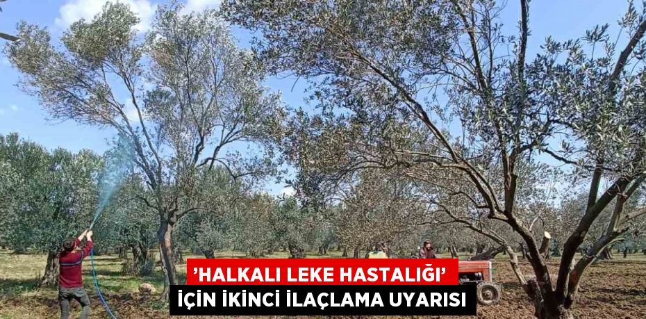 ’HALKALI LEKE HASTALIĞI’ İÇİN İKİNCİ İLAÇLAMA UYARISI