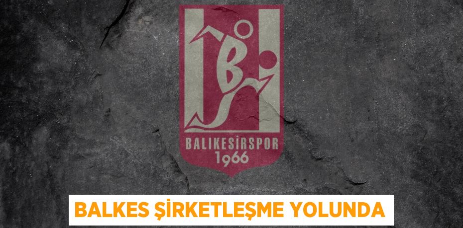 BALKES ŞİRKETLEŞME YOLUNDA