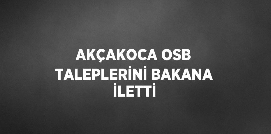 AKÇAKOCA OSB TALEPLERİNİ BAKANA İLETTİ