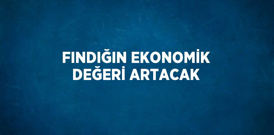 FINDIĞIN EKONOMİK DEĞERİ ARTACAK