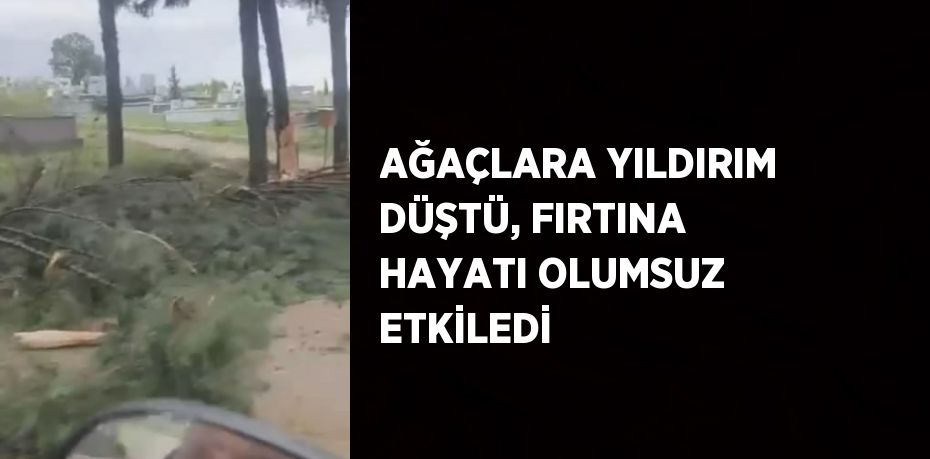 AĞAÇLARA YILDIRIM DÜŞTÜ, FIRTINA HAYATI OLUMSUZ ETKİLEDİ