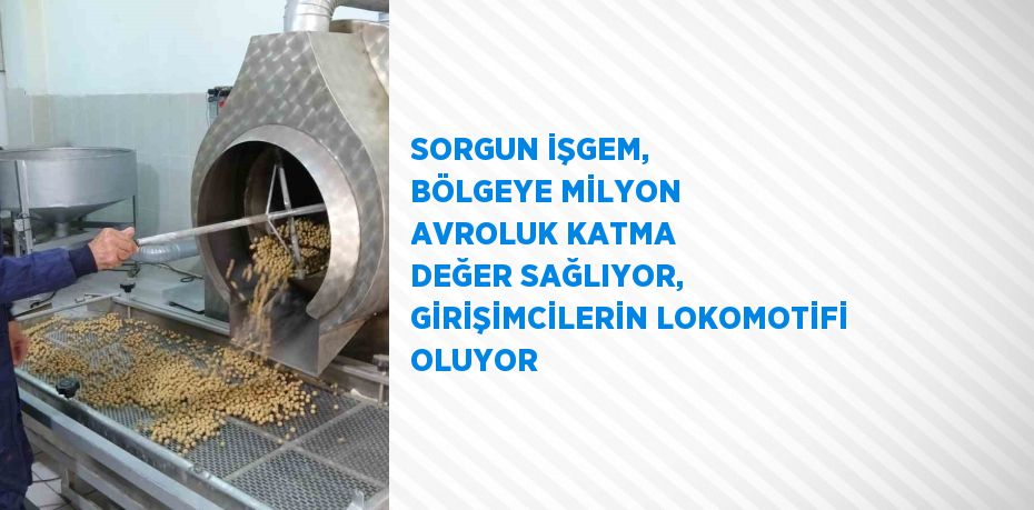 SORGUN İŞGEM, BÖLGEYE MİLYON AVROLUK KATMA DEĞER SAĞLIYOR, GİRİŞİMCİLERİN LOKOMOTİFİ OLUYOR