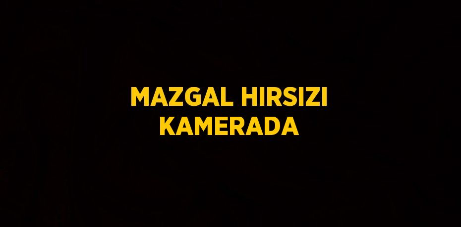 MAZGAL HIRSIZI KAMERADA