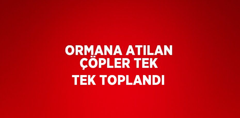 ORMANA ATILAN ÇÖPLER TEK TEK TOPLANDI