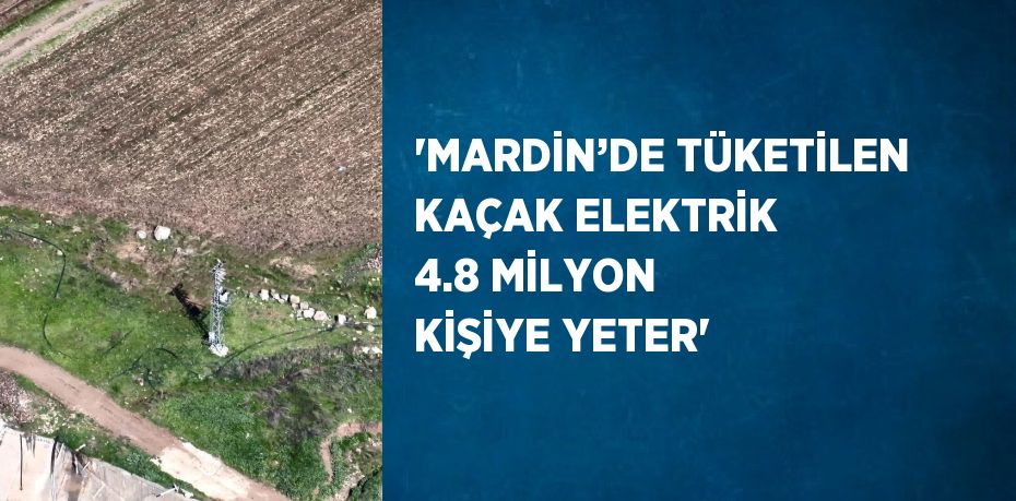 'MARDİN’DE TÜKETİLEN KAÇAK ELEKTRİK 4.8 MİLYON KİŞİYE YETER'