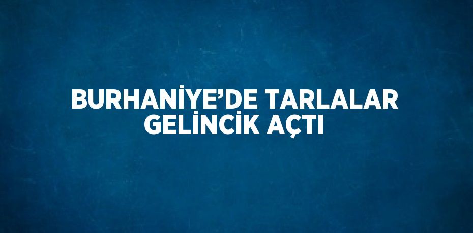 BURHANİYE’DE TARLALAR GELİNCİK AÇTI