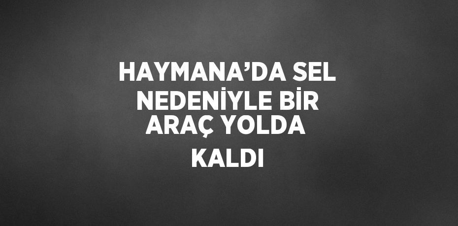 HAYMANA’DA SEL NEDENİYLE BİR ARAÇ YOLDA KALDI