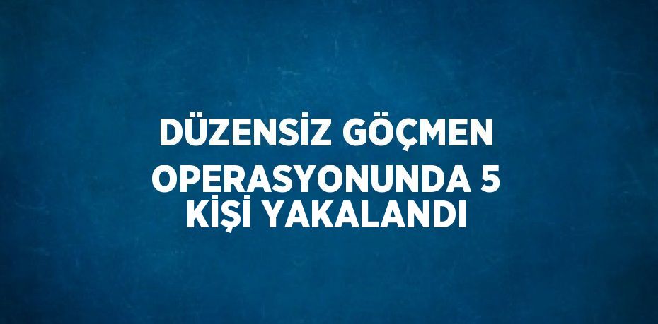 DÜZENSİZ GÖÇMEN OPERASYONUNDA 5 KİŞİ YAKALANDI