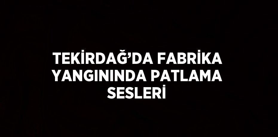 TEKİRDAĞ’DA FABRİKA YANGININDA PATLAMA SESLERİ