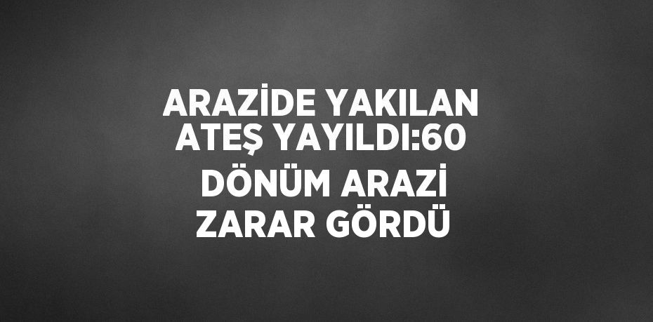 ARAZİDE YAKILAN ATEŞ YAYILDI:60 DÖNÜM ARAZİ ZARAR GÖRDÜ
