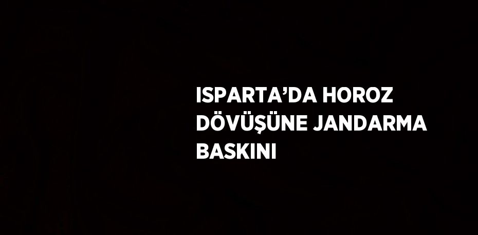 ISPARTA’DA HOROZ DÖVÜŞÜNE JANDARMA BASKINI
