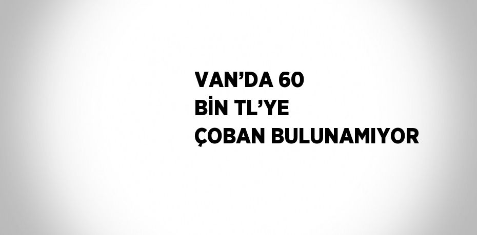 VAN’DA 60 BİN TL’YE ÇOBAN BULUNAMIYOR