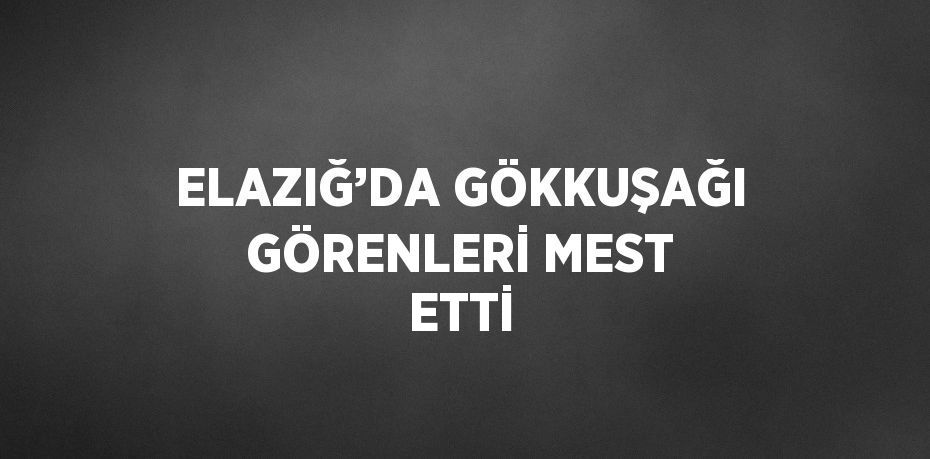 ELAZIĞ’DA GÖKKUŞAĞI GÖRENLERİ MEST ETTİ