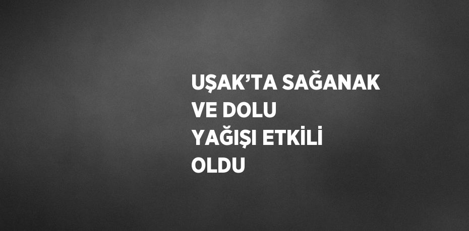 UŞAK’TA SAĞANAK VE DOLU YAĞIŞI ETKİLİ OLDU