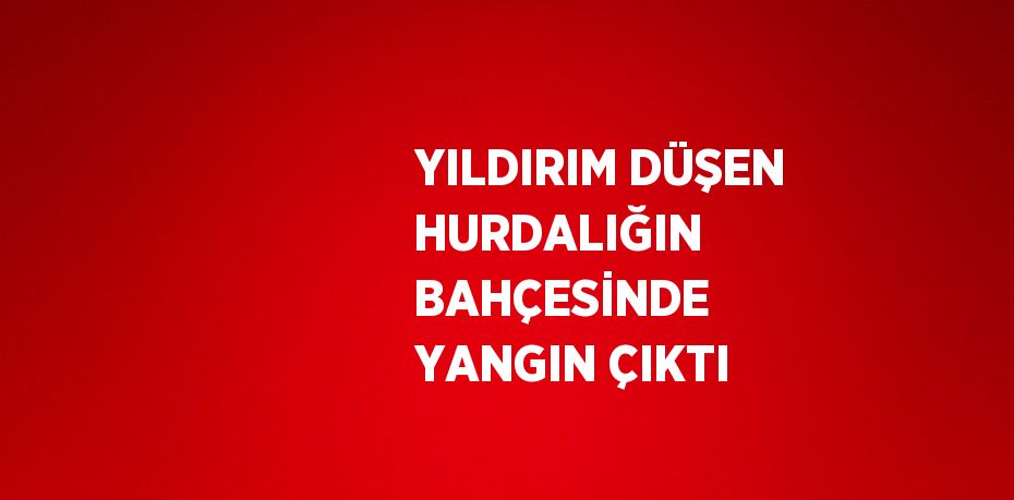 YILDIRIM DÜŞEN HURDALIĞIN BAHÇESİNDE YANGIN ÇIKTI