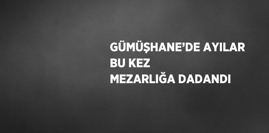 GÜMÜŞHANE’DE AYILAR BU KEZ MEZARLIĞA DADANDI