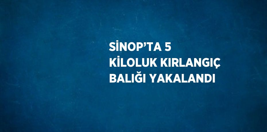SİNOP’TA 5 KİLOLUK KIRLANGIÇ BALIĞI YAKALANDI