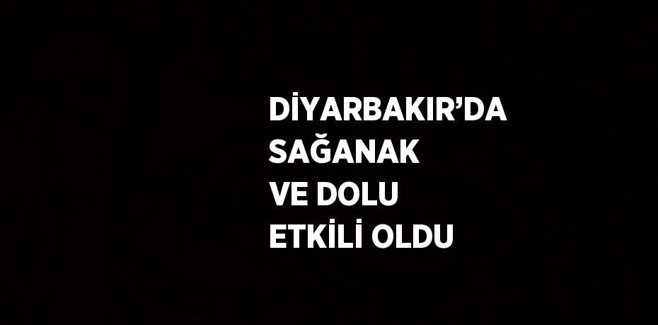 DİYARBAKIR’DA SAĞANAK VE DOLU ETKİLİ OLDU