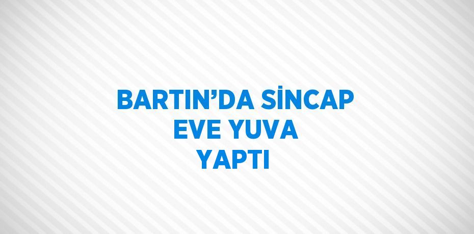BARTIN’DA SİNCAP EVE YUVA YAPTI