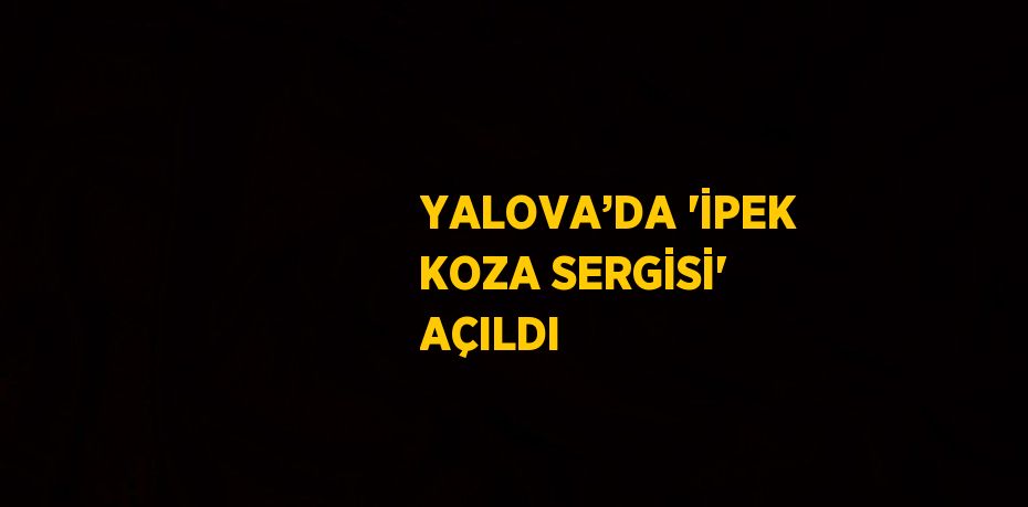 YALOVA’DA 'İPEK KOZA SERGİSİ' AÇILDI