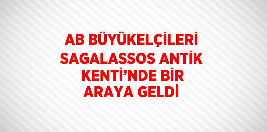 AB BÜYÜKELÇİLERİ SAGALASSOS ANTİK KENTİ’NDE BİR ARAYA GELDİ