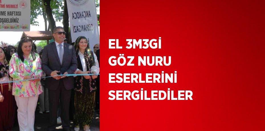 EL 3M3Gİ GÖZ NURU ESERLERİNİ SERGİLEDİLER