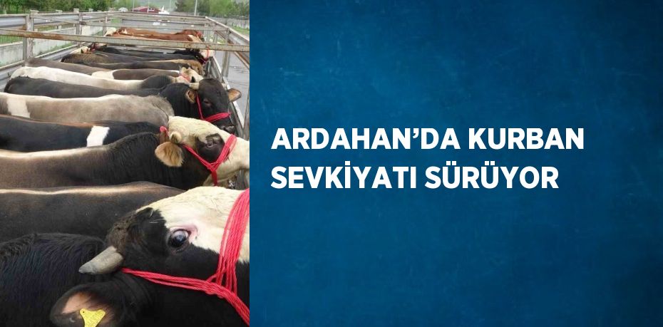 ARDAHAN’DA KURBAN SEVKİYATI SÜRÜYOR