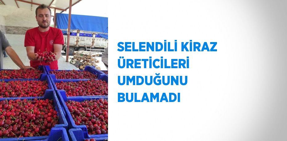 SELENDİLİ KİRAZ ÜRETİCİLERİ UMDUĞUNU BULAMADI