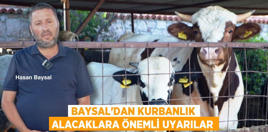 BAYSAL’DAN KURBANLIK ALACAKLARA ÖNEMLİ UYARILAR