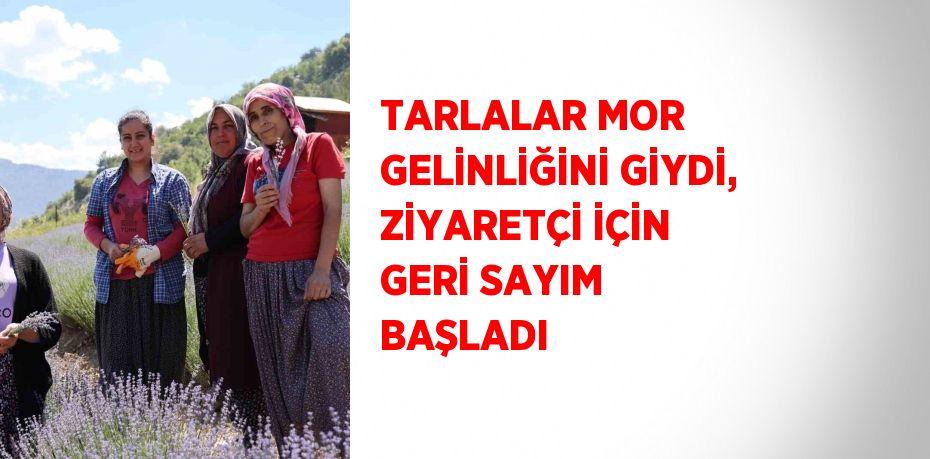 TARLALAR MOR GELİNLİĞİNİ GİYDİ, ZİYARETÇİ İÇİN GERİ SAYIM BAŞLADI