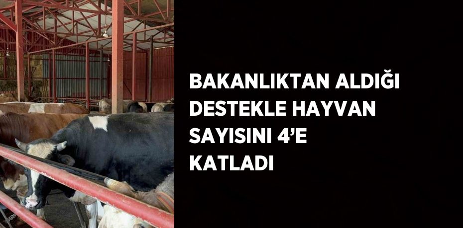 BAKANLIKTAN ALDIĞI DESTEKLE HAYVAN SAYISINI 4’E KATLADI