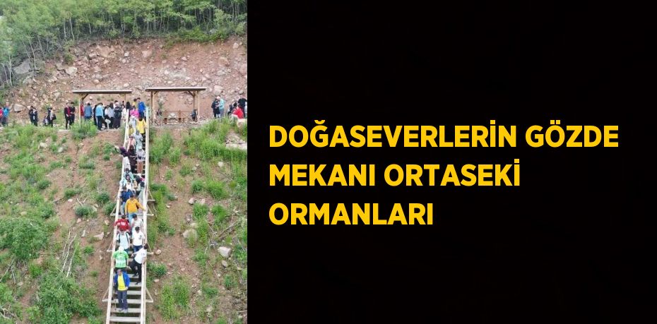 DOĞASEVERLERİN GÖZDE MEKANI ORTASEKİ ORMANLARI