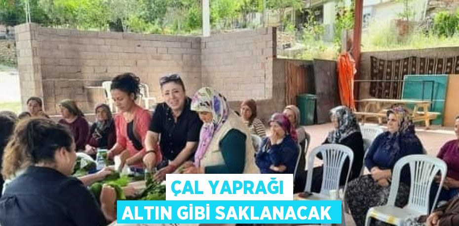 ÇAL YAPRAĞI ALTIN GİBİ SAKLANACAK