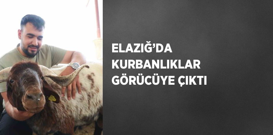 ELAZIĞ’DA KURBANLIKLAR GÖRÜCÜYE ÇIKTI