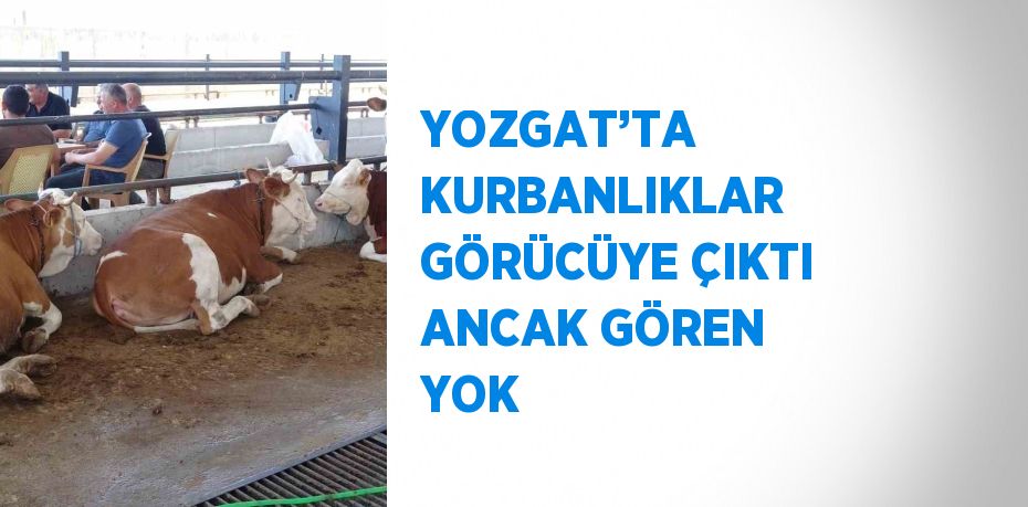 YOZGAT’TA KURBANLIKLAR GÖRÜCÜYE ÇIKTI ANCAK GÖREN YOK