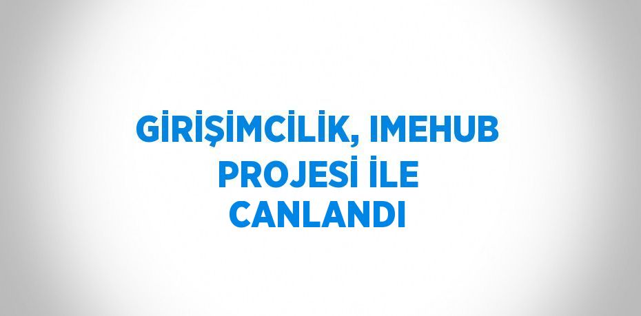 GİRİŞİMCİLİK, IMEHUB PROJESİ İLE CANLANDI